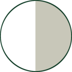 White / Gray
